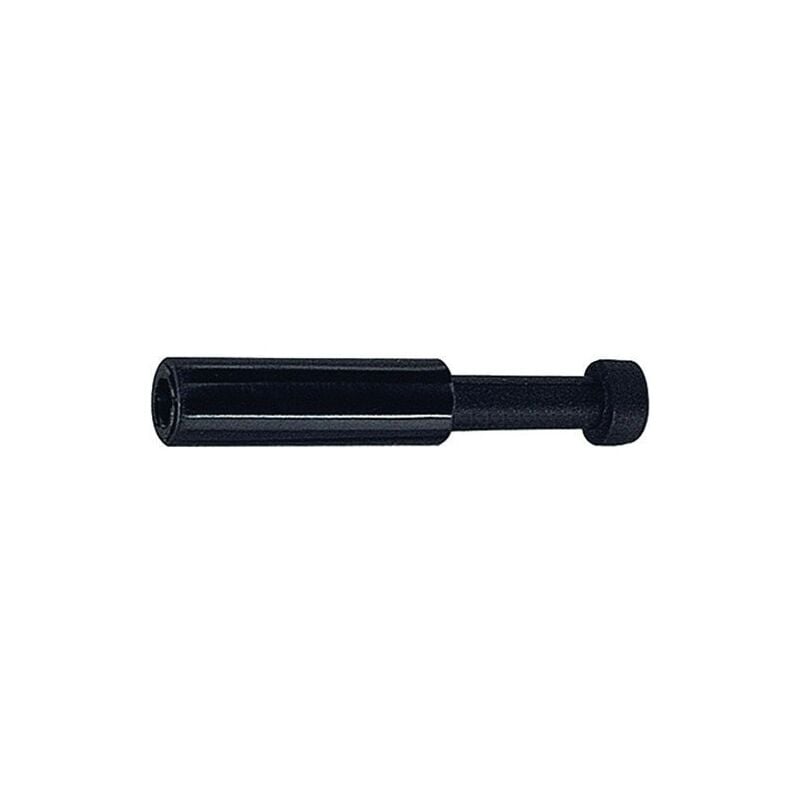 

Conector Tapon Serie Azul 4 Mm L1 30,2 Mm 4 Mm Riegler