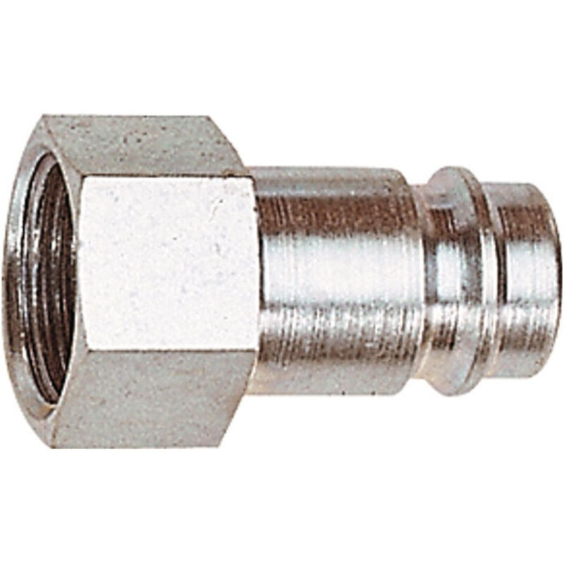 

Riegler - Racor Acero Endur./Niq. Conector Macho Dn 10 Rosca Interior