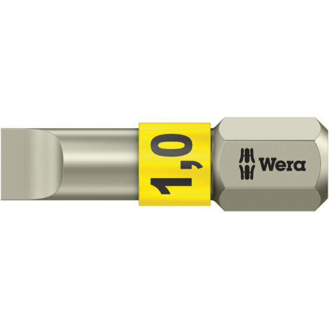 Conector para Tornillo - plana 1/4'', Acero Inoxidable con zona de torsión, 25 mm de largo, Ancho de hoja x Espesor de hoja : 5,5 x 1,0 mm