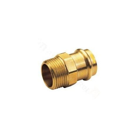 CONEX/BANINGER PG4243G'MANCHON PG4243G MÂLE 18 X 3/4 '' PG4243G0180600
