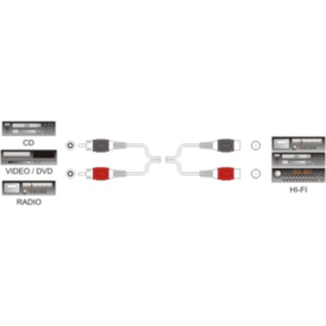 Conexión audio inyectada 2 machos RCA a 2 hembras RCA 2 m Electro Dh 37.013/2 8430552044146