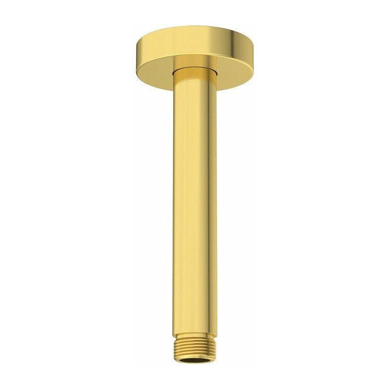 

Conexión de techo RAIN 150 mm oro cepillado Standard - Ideal