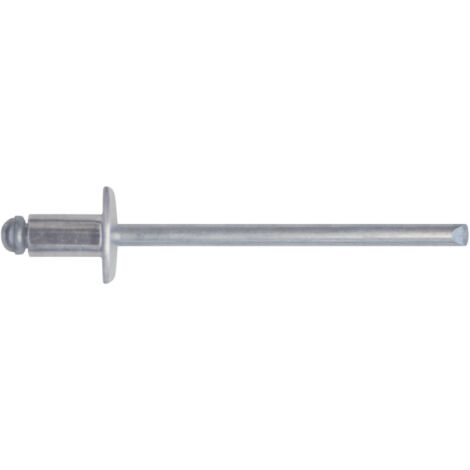 Confezione 100 rivetti corpo in alluminio   4,8x16 mm e chiodo in acciaio zincato