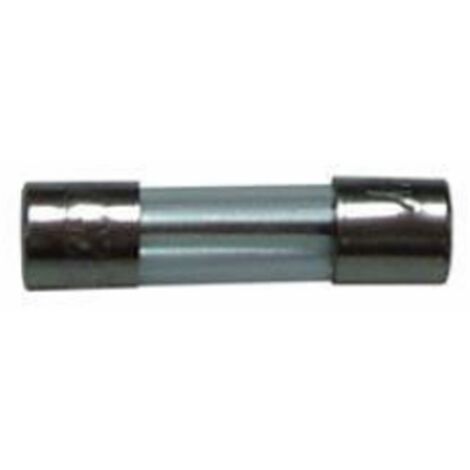 Confezione 10pz FUSIBILE 10 Amp per MICROONDE E VARI Dimensioni 5x20mm