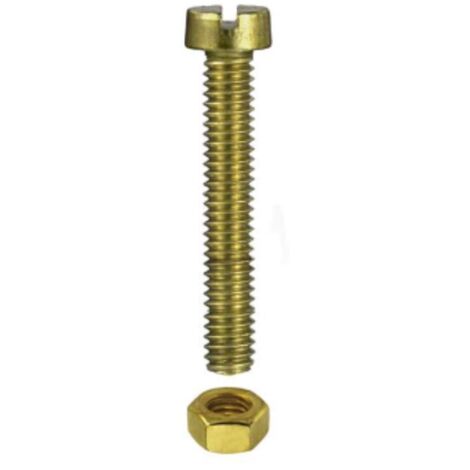 CONFEZIONE DA 10 PEZZI - VITI RADIO FILETTATE A TESTA CILINDICA CON DADO 2x10MM - IN OTTONE