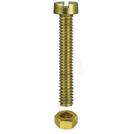CONFEZIONE DA 10 PEZZI - VITI RADIO FILETTATE A TESTA CILINDICA CON DADO 2x10MM - IN OTTONE