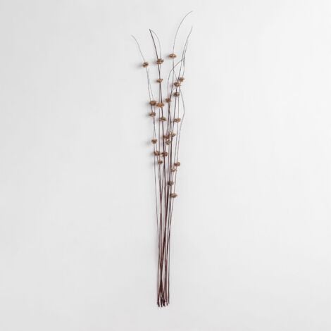 Confezione da 10 rami decorativi secchi di zinia SKLUM