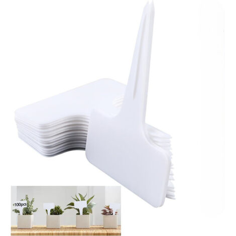 Confezione da 100 etichette per piante, ortaggi e giardini. Ideali per giardini, frutteti o fattorie.