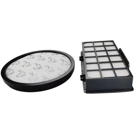 Confezione da 2 filtri HEPA per aspirapolvere ciclonici Rowenta X-Trem Power Cyclonic RO6984EA RO6941EA RO6963EA RO6921EA RO6971EA RO6993EA (modello RO69XX), accessori di ricambio per filtri ZR006001