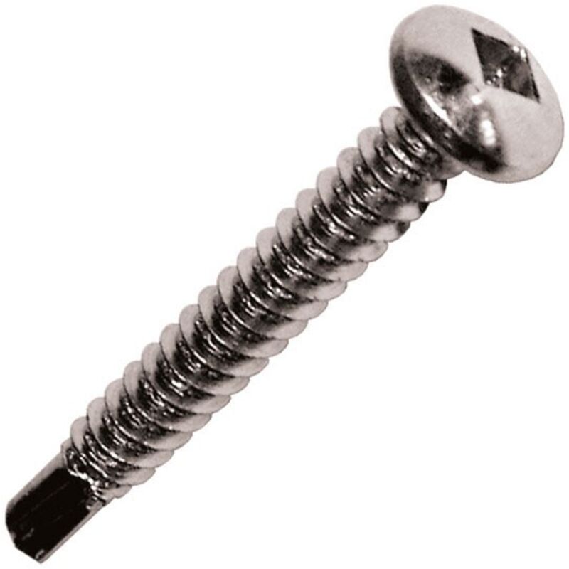 Scell-it - Vite autoperforante in acciaio inox A2 con testa cilindrica e intaglio quadrato per alluminio - ø 4,8 x 50 mm - Confezione da 250 TCQN48050