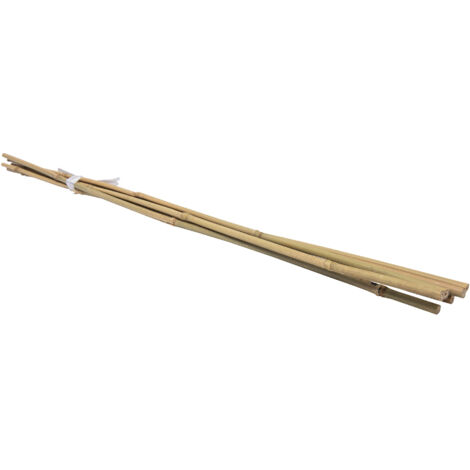 Confezione da 6 tutor in bambù WERKA PROH 105cm (Ø 10-12 mm)