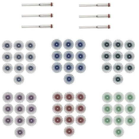 Confezione da 66 dischi abrasivi con gambo da 1/8" per la pulizia e la sbavatura di utensili rotanti, grana mista 80/120/220/400/600/1000