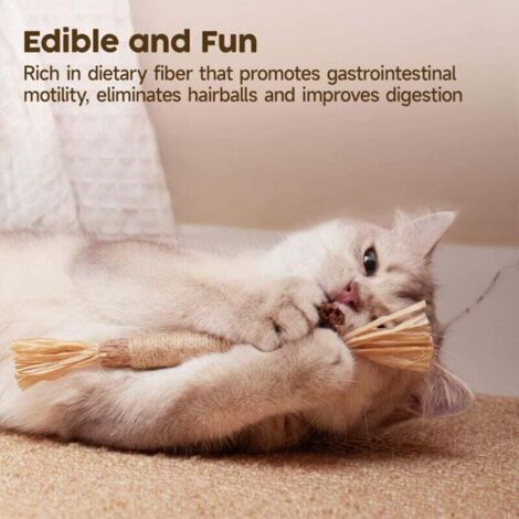 Confezione de 3 giocattoli en bois naturel pour gatti, giocattoli da masticare con erba gatta, pulizia dei dei denti, cura denti, dolcetti commestibili per gatti