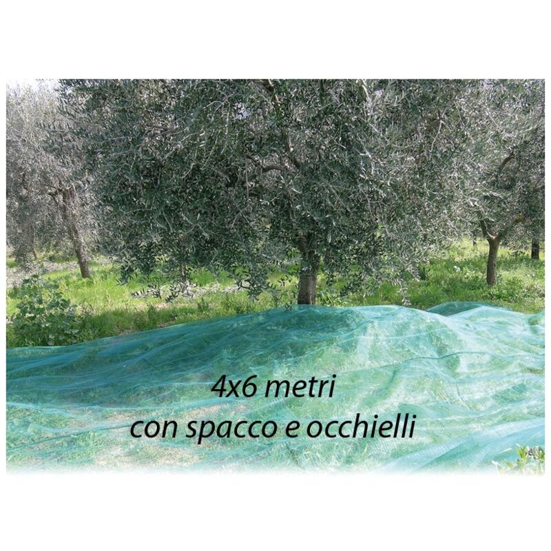 Confine - Rete per Raccolta Olive 4x6 metri con Spacco Occhielli Metallo Telo Antispina