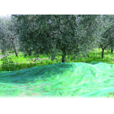 Confine RETE PER OLIVE ANTISPINE rotolo mt. 4x100