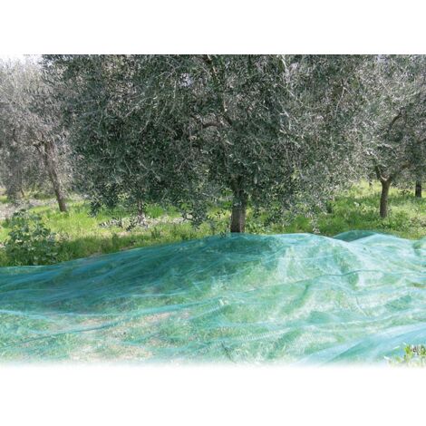 Confine RETE PER OLIVE ANTISPINE rotolo mt. 7x 50