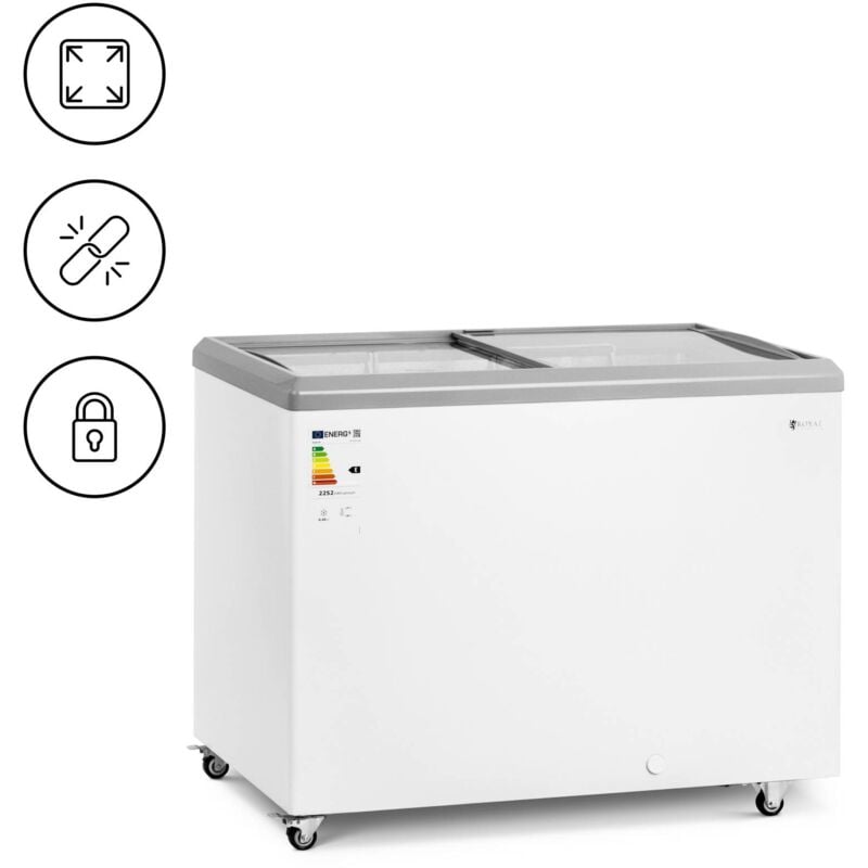 Royal Catering - Congélateur vitré 280 l verrouillable Congélateur professionnel