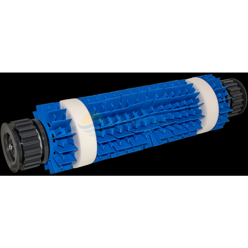 Conjunto cepillo azul S2 combinado limpiafondos Dolphin