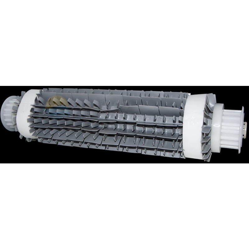Maytronics - Conjunto cepillo gris Diag cb, limpiafondos Dolphin