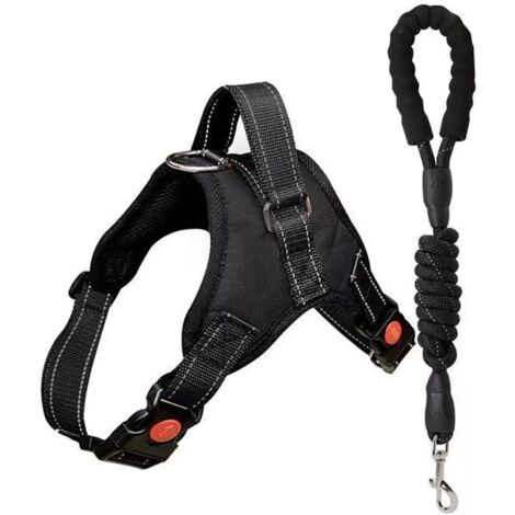 Conjunto de correa trenzada ajustable y transpirable para paseos diarios y adiestramiento canino, talla L