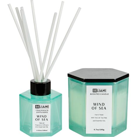 Conjunto de vela perfumada y difusor de varilla 100% cera de soja mecha de algodón vidrio fresco brisa marina Classy Tint