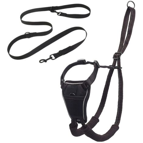 Conjunto harnais/laisse pour chiens/cats, ajustable, negro