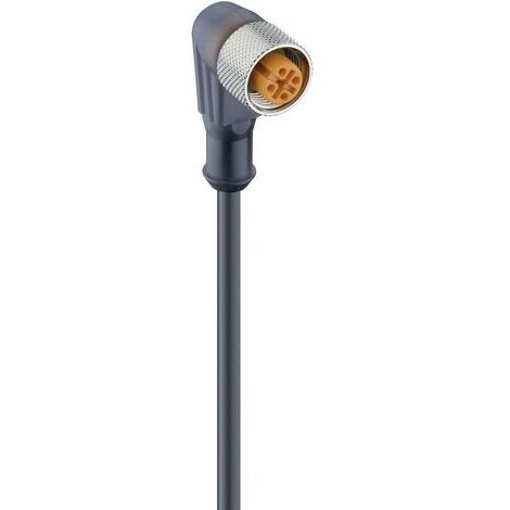 Connecteur confectionné pour capteurs/actionneurs M12 Lumberg Automation RKWT 4-225/2 M 11441-1 femelle, coudé 2.00 m Nombre de pôles: 4 1 pc(s) D29575