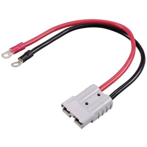 Connecteur de batterie à courant élevé sur œillet M6 TC-12195688 noir, rouge TRU COMPONENTS Contenu: 1 pc(s) V160553