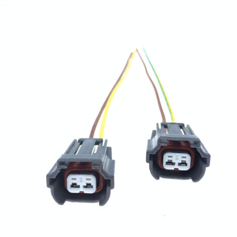 Connecteur d'injecteur de carburant 2 broches 2P DJ7022B-2.2-21 6195-0043 Connecteur automobile