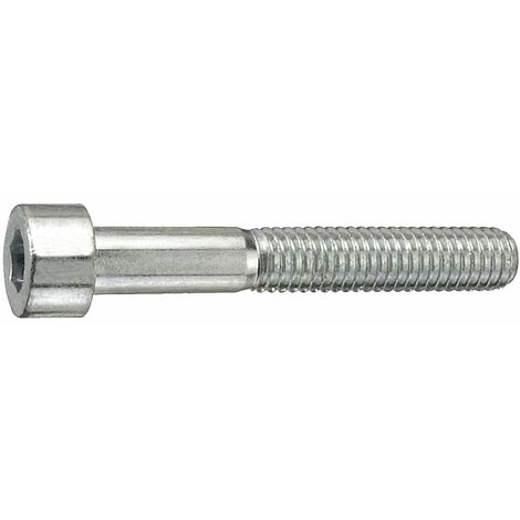 Connex Gewindeschraube M10 x 100 mm Sechskant Innen 8 mm - 1 Stk. Schrauben & Dübel