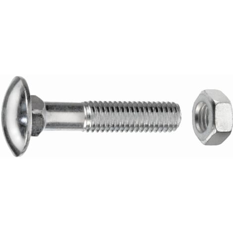 Connex Schlossschrauben M6 x 30 mm - 30 Stück Edelstahl Schlossschrauben