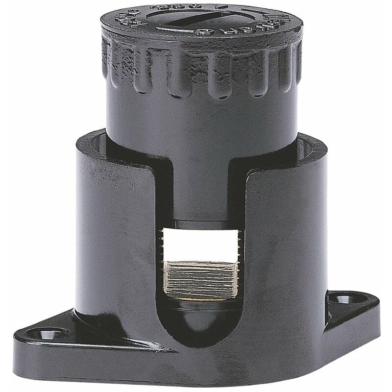 Legrand - LEG34043 borne anti-cisaillante écrou 6 pans avec pattes 30 MM²