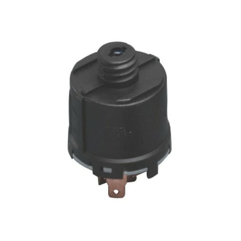 Stiga - 1134-4093-01 - Contacteur à Clé pour Tondeuse Autoportée