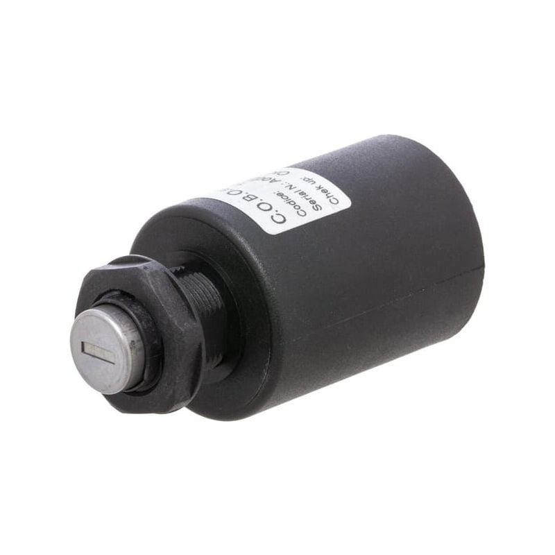 Contacteur à clé Etesia ET29254