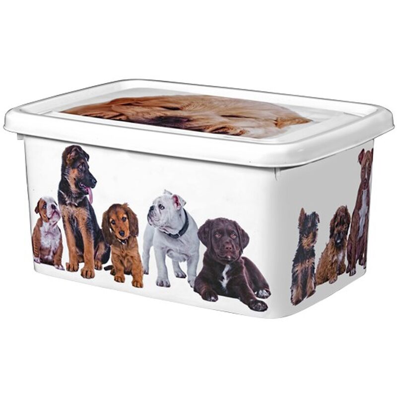 

Great Plastic - Contenedor 4L de plástico con diseño de perros