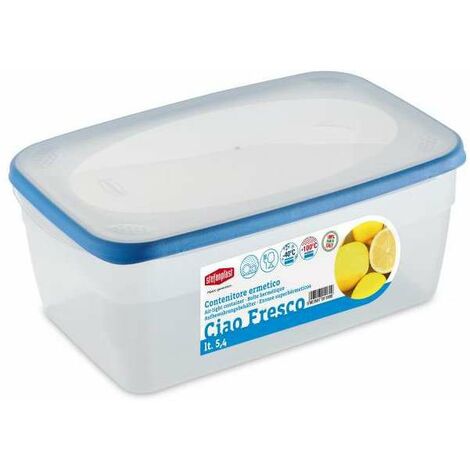 Contenitore Rettangolare L 2,4 31X20 H 6 Stefanplast