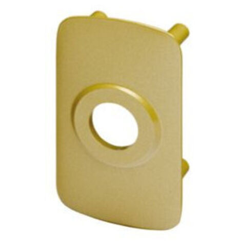 Contreplaque pour verrou CYCLOP diamètre 23mm bronze – VACHETTE - 704V