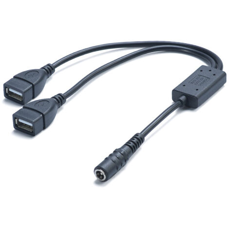 Convertisseur abaisseur de tension CC 5521 femelle vers 2 adaptateurs secteur USB femelles, convertisseur de charge 5521 femelle de 3 A