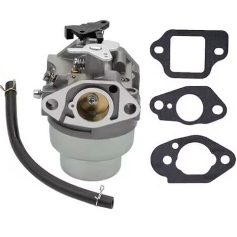 Convient au carburateur de nettoyeur haute pression Karcher G2500VH G2500PH 2500PSI