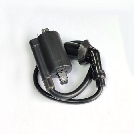 Convient pour Yamaha YAMAHA/VIRAGO250/XV125/XV250/1995-2007 Bobine d'allumage