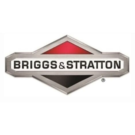 Convogliatore ORIGINALE BRIGGS & STRATTON 593961