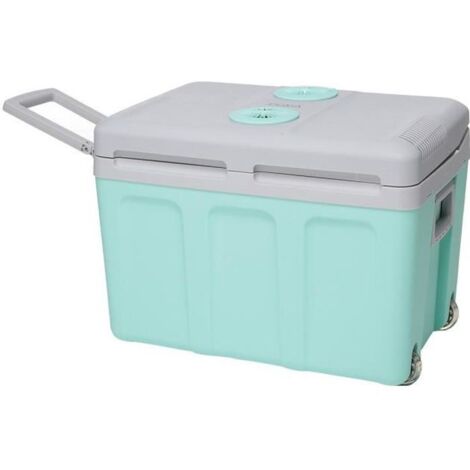 Cooler termoelettrico - EZA - 40L 12/220V
