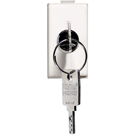 Coperchio Ip55 Per Scatola 503E 3 Moduli ( Bticino Cod. Am5007P )