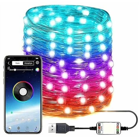 Copper Wire Fairy Lights,2M 20LED USB Bluetooth String Lights Smart String Lights, Suitable for Family Holiday Decoration