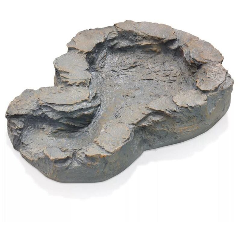 Coque ruisseau roche niveau inférieur