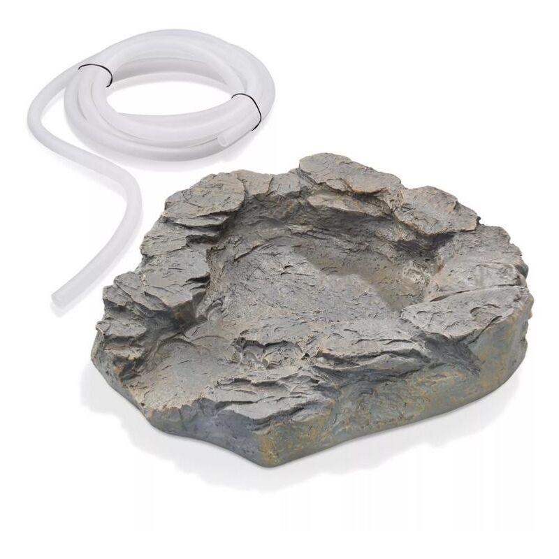 Coque ruisseau roche niveau supérieur