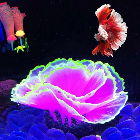 100 pièces cristaux lumineux décoration pour aquarium – Petmonde