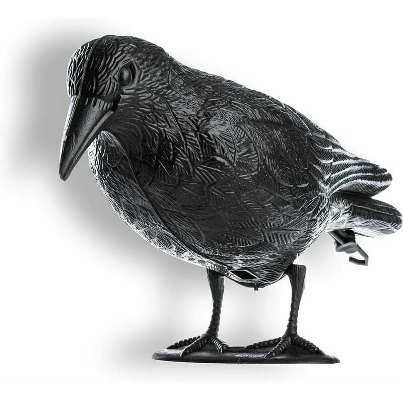 Corbeau noir, répulsif contre les pigeons et répulsif contre les pigeons en plastique, répulsif contre les oiseaux, lutte antiparasitaire naturelle,