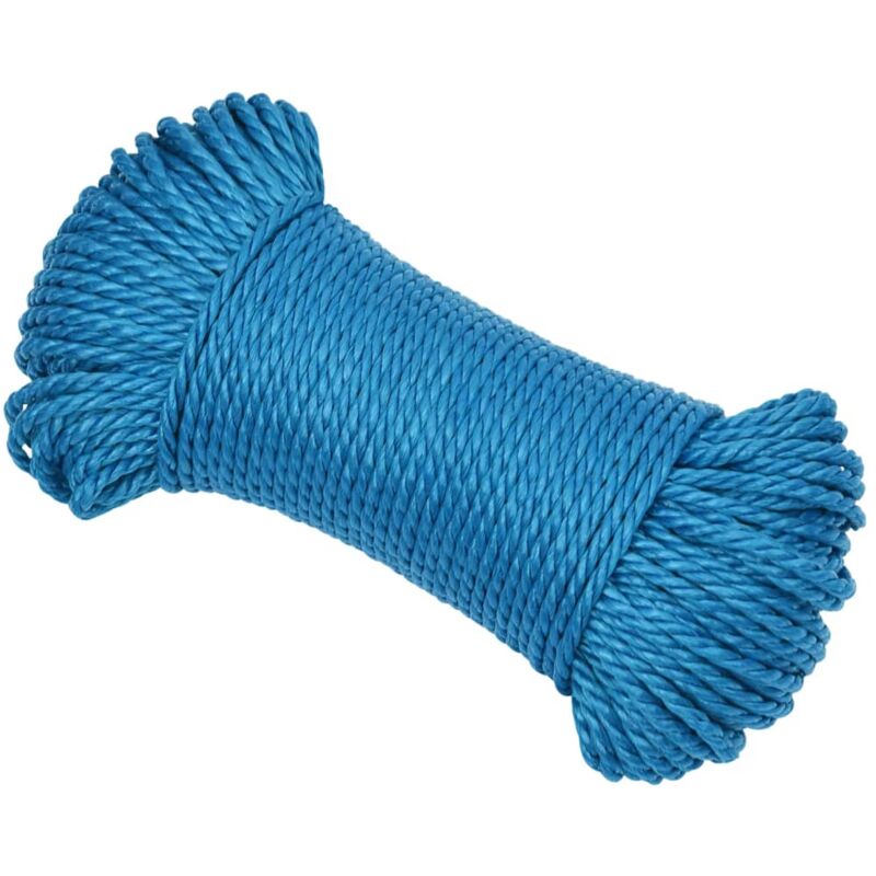 Vidaxl - Corda da Lavoro Blu 6 mm 100 m in