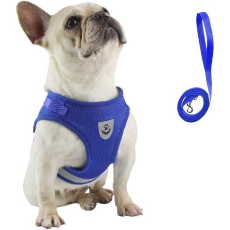 Corde de traction réglable pour harnais pour chien (bleu S)